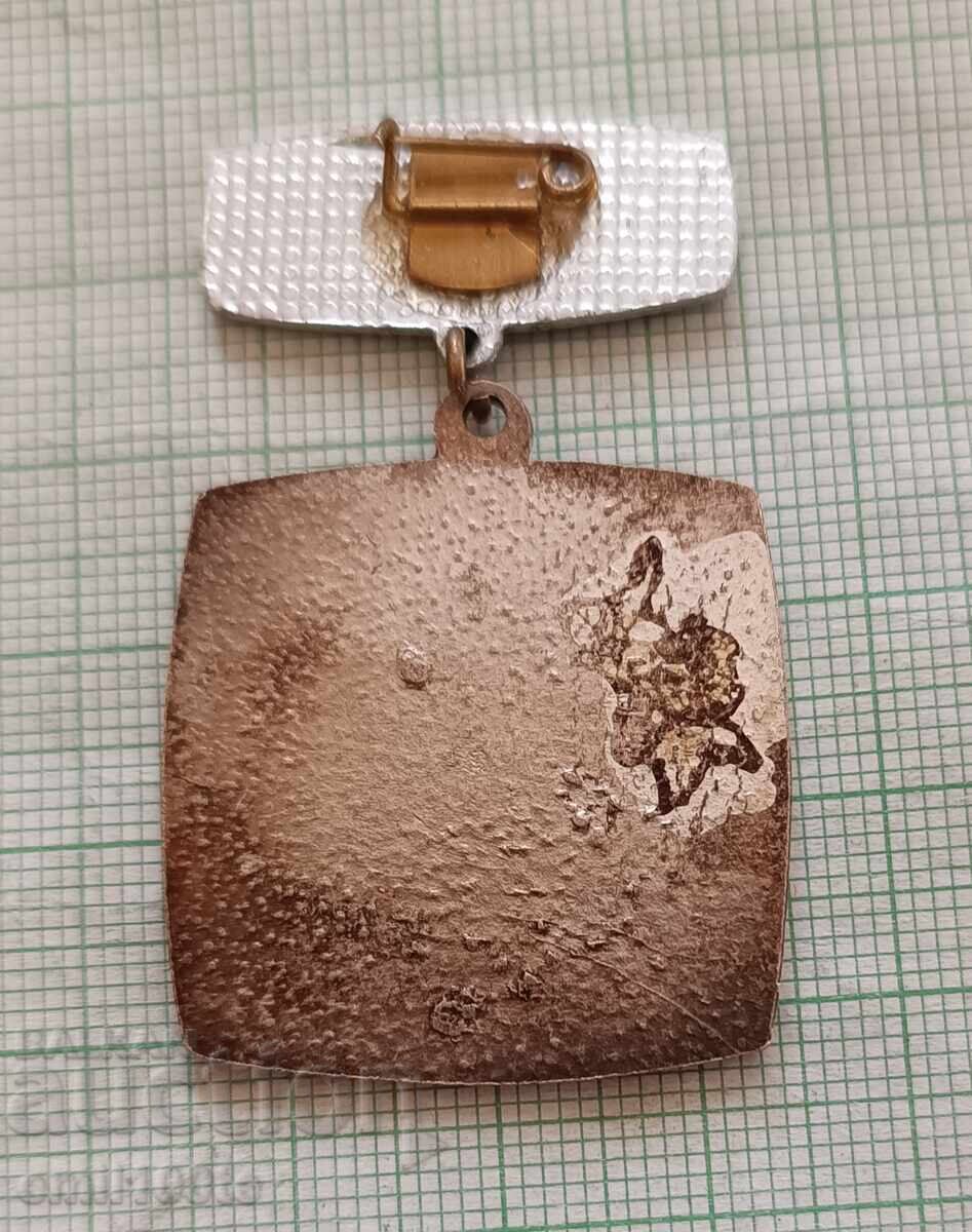 Badge - For active participation in the Brigadier Movement of the Central Committee of the Bulgarian Communist Party of Macedonia - 5 Badge - For active participation in the Brigadier Movement of the Central Committee of the Bulgarian Communist Party of Macedonia - 5