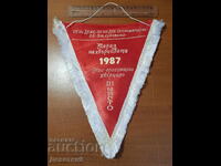 Awarded flag 1987