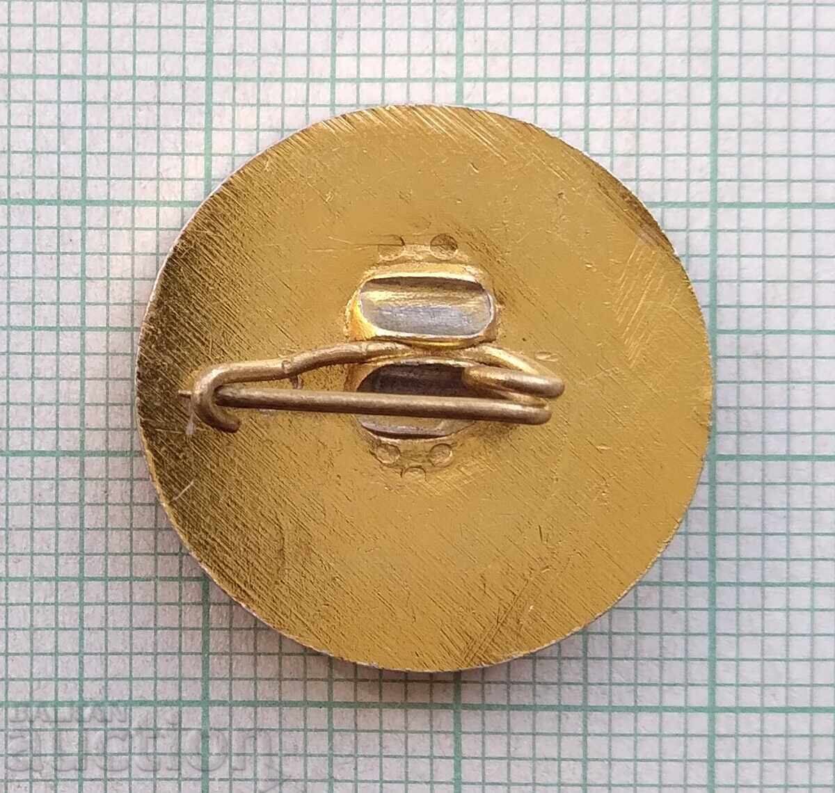 Auction 18231 Badge - 10 years Youth production MK Kremikovtzi Auction 18231 Badge - 10 years Youth production MK Kremikovtzi