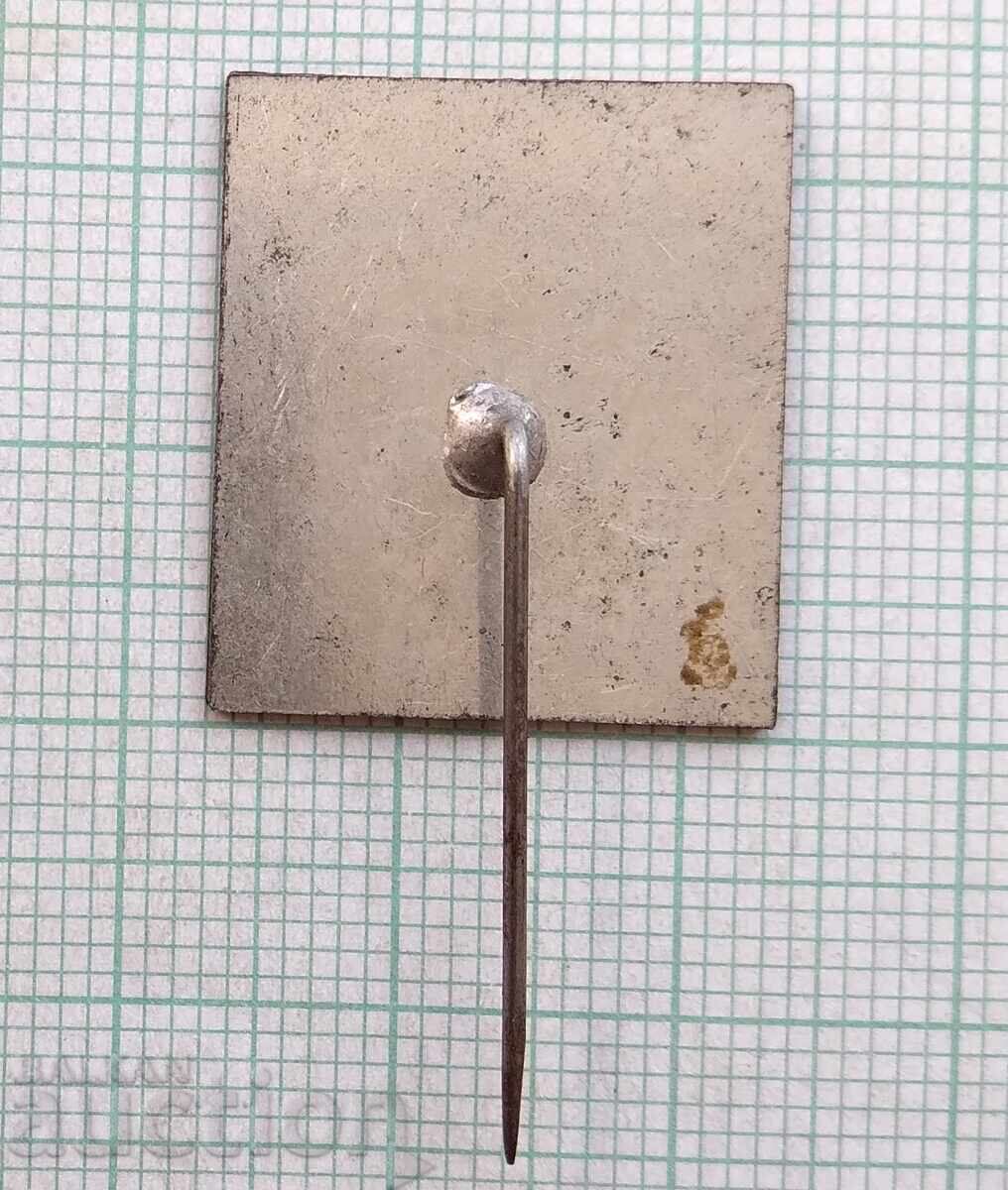 Auction  18236 Badge - TNTM Pazardzhik 1975