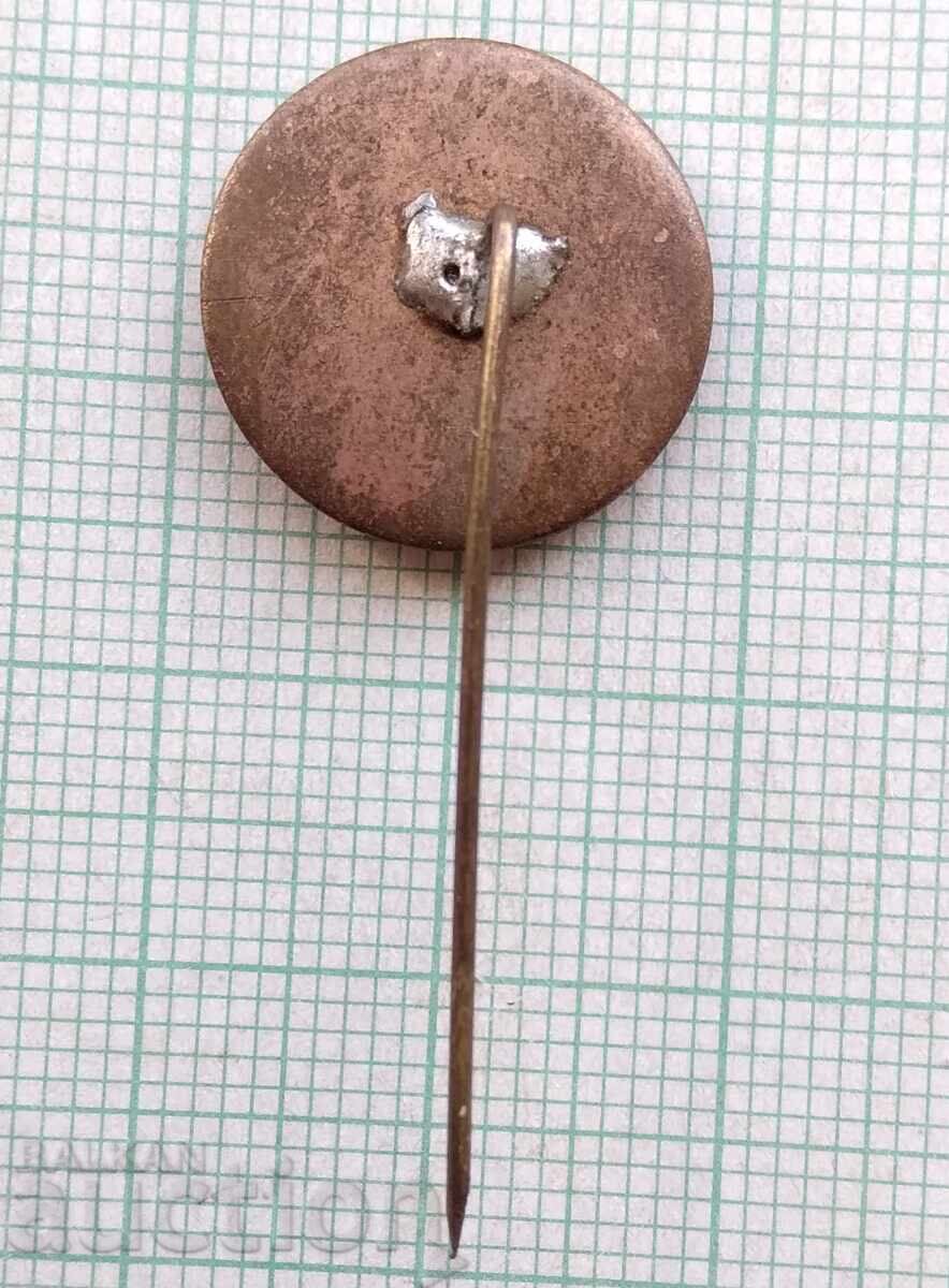 Auction  18242 Badge - DDZ Anton Ivanov Peshtera