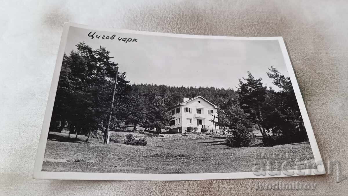 Postcard Tsigov Chark