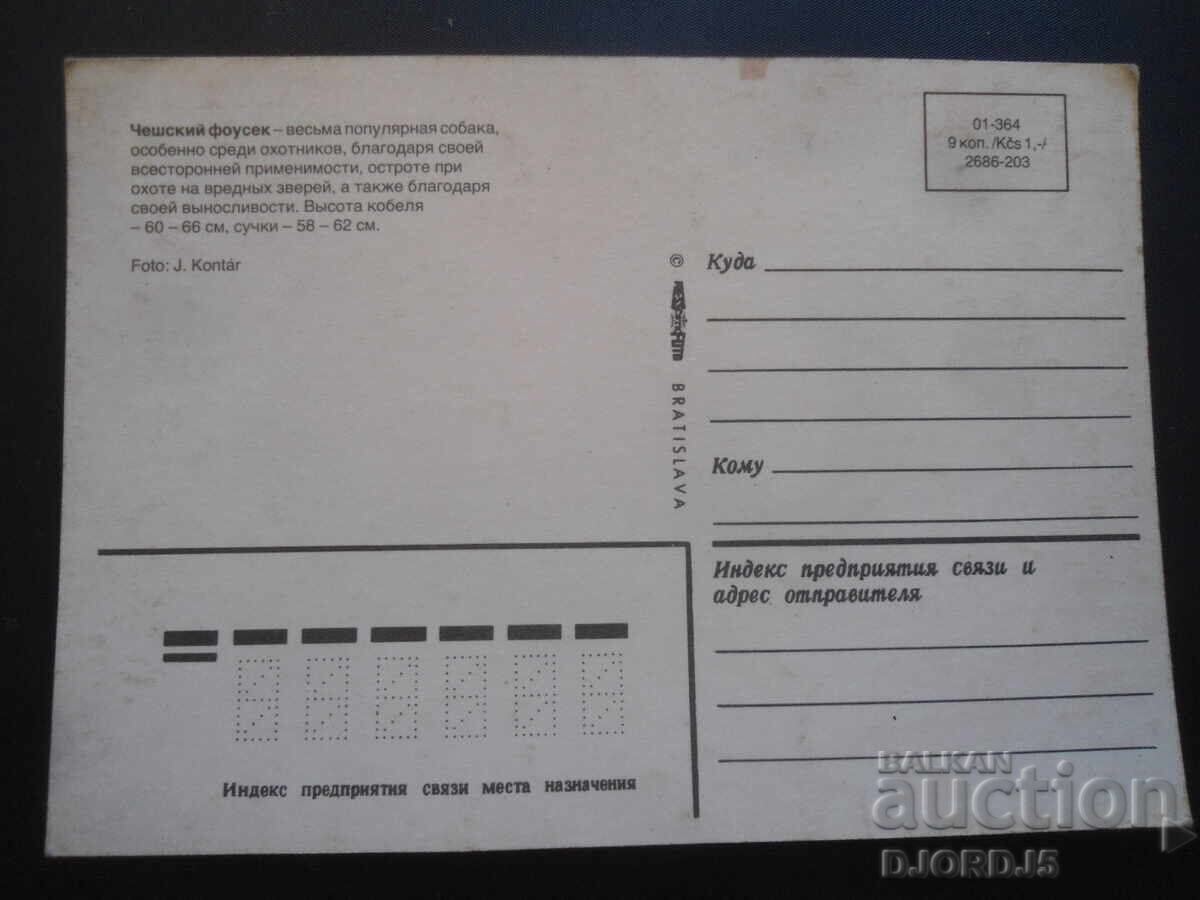 Czech fousek, Old card with price 1.00 BGN | € 0.51 Czech fousek, Old card with price 1.00 BGN | € 0.51