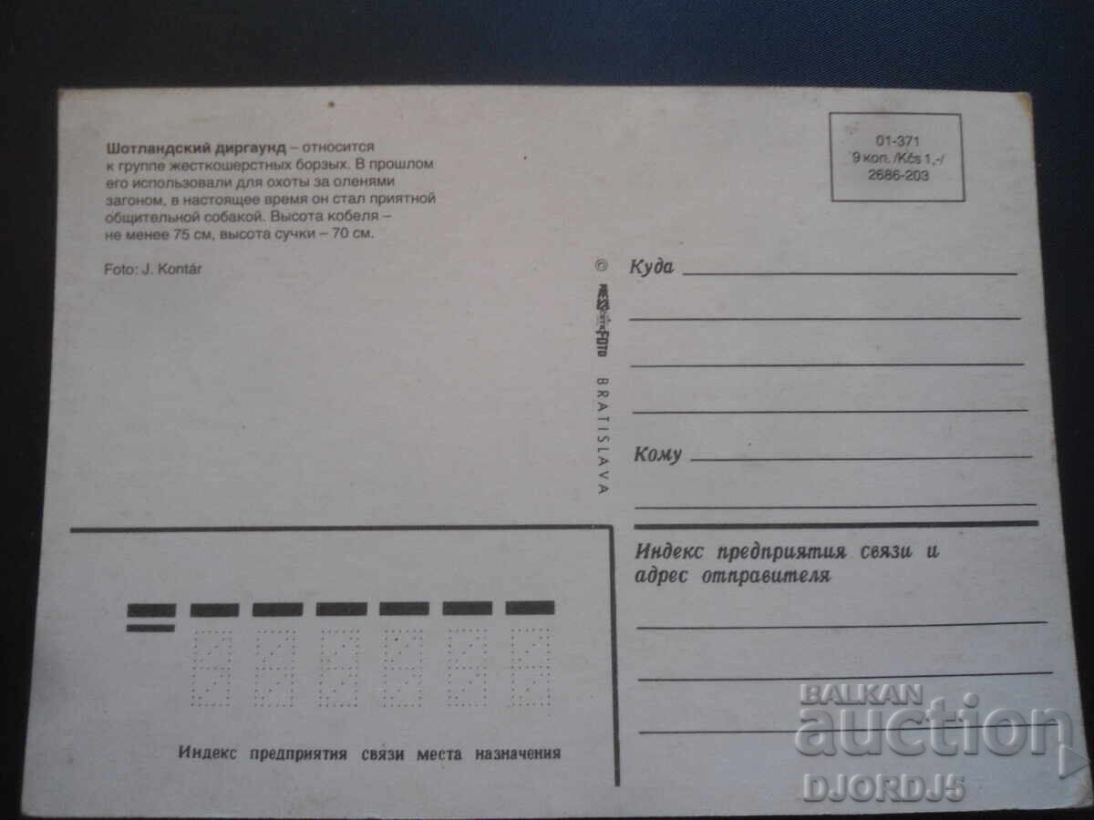 Шотландский диргаунд, Стара картичка с цена 1.00 лв. | € 0.51