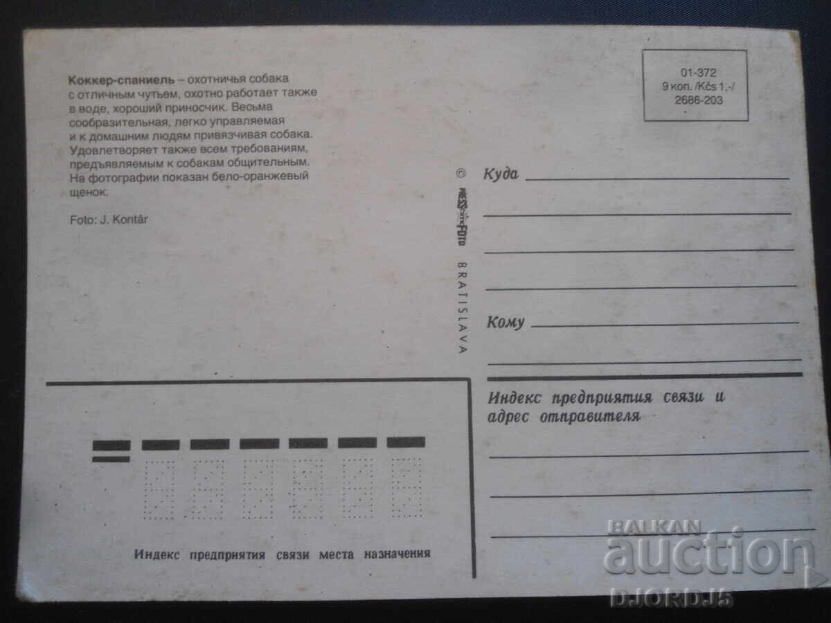 Коккер-спаниель, Стара картичка с цена 1.00 лв. | € 0.51 Коккер-спаниель, Стара картичка с цена 1.00 лв. | € 0.51