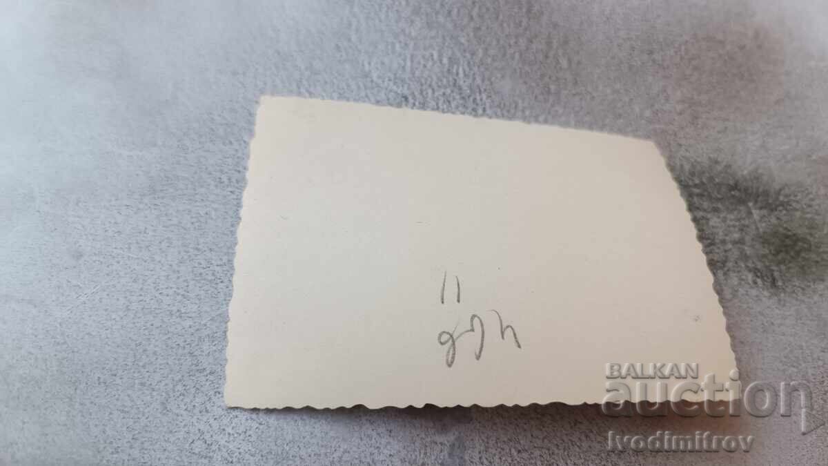 Photo Young girl in a garden with flowers with price 1.65 BGN | € 0.84 Photo Young girl in a garden with flowers with price 1.65 BGN | € 0.84