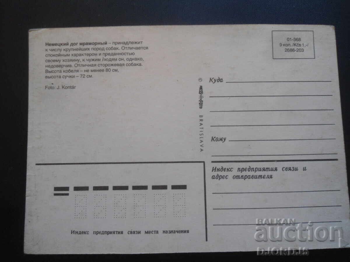 Great Dane marble, Old card with price 1.00 BGN | € 0.51 Great Dane marble, Old card with price 1.00 BGN | € 0.51