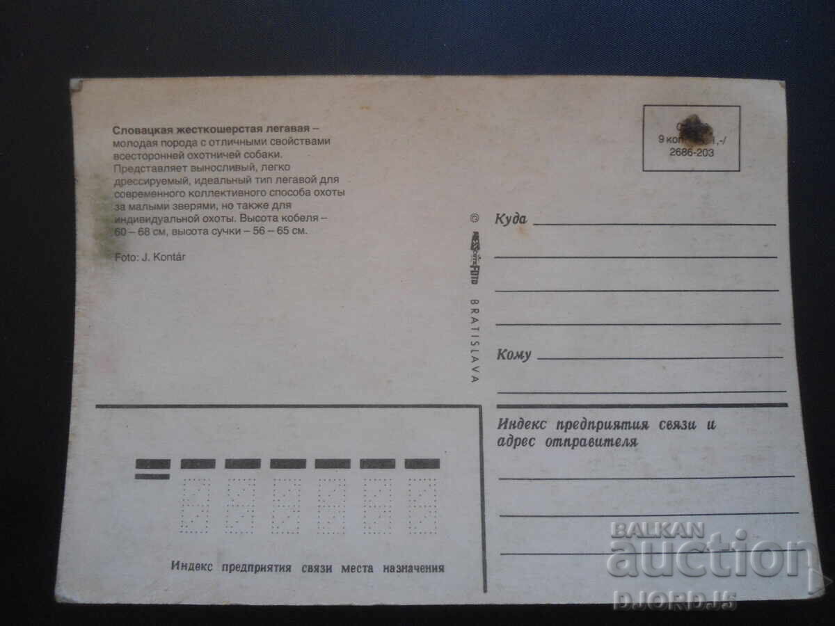 Indicator cu păr slovac, carte poștală veche cu preț 1.00 BGN | € 0.51