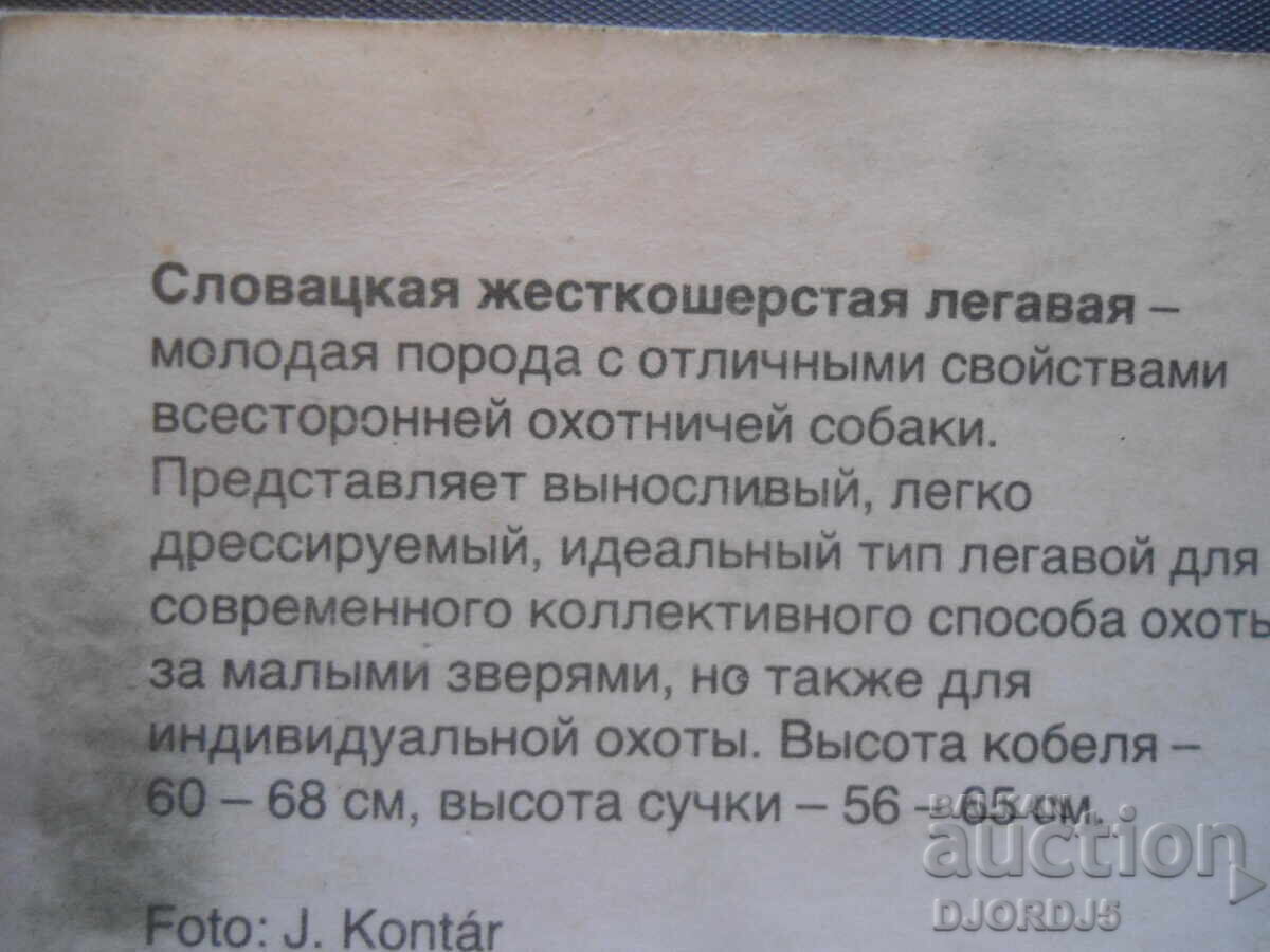 Licitație Indicator cu păr slovac, carte poștală veche