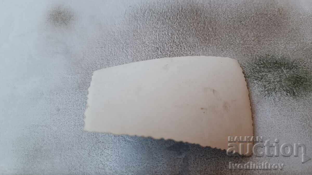 Photo Four young girls with conductor's batons with price 1.65 BGN | € 0.84 Photo Four young girls with conductor's batons with price 1.65 BGN | € 0.84