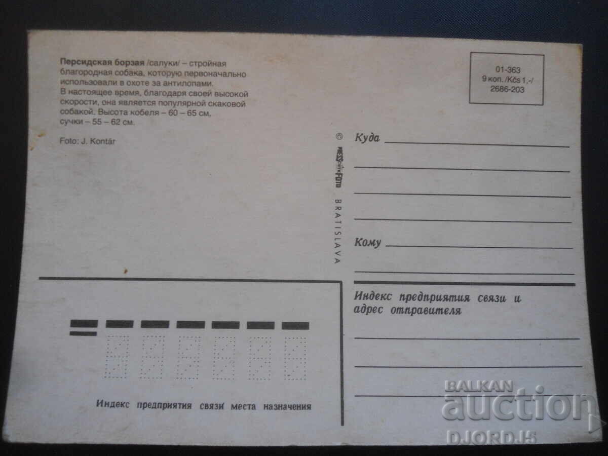 Ogar persan, carte poștală veche cu preț 1.00 BGN | € 0.51