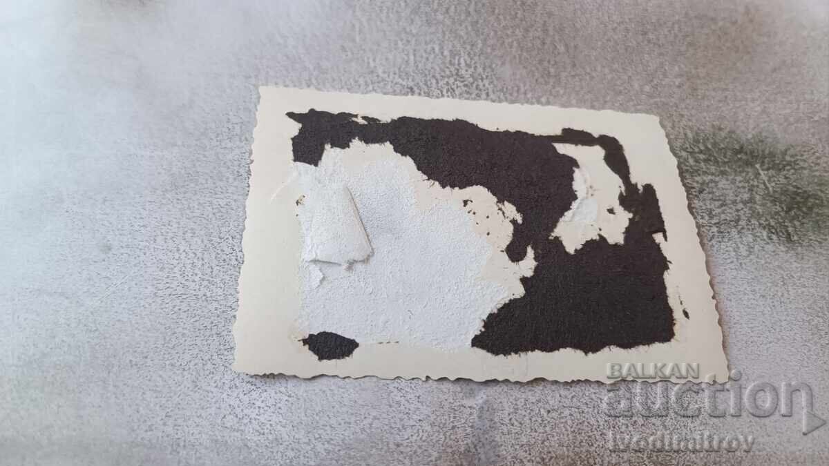 Photo Young girl by the sea with price 1.35 BGN | € 0.69 Photo Young girl by the sea with price 1.35 BGN | € 0.69