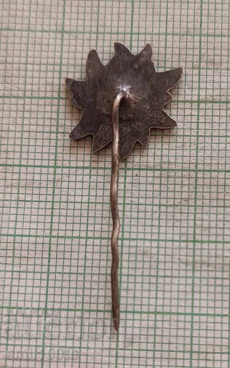 Delivery of Badge - Aleko Sofia Tourist Association Cherni Vrah BTS Delivery of Badge - Aleko Sofia Tourist Association Cherni Vrah BTS