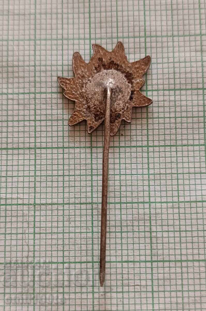 Delivery of Badge - Aleko Sofia Tourist Association Cherni Vrah BTS Delivery of Badge - Aleko Sofia Tourist Association Cherni Vrah BTS