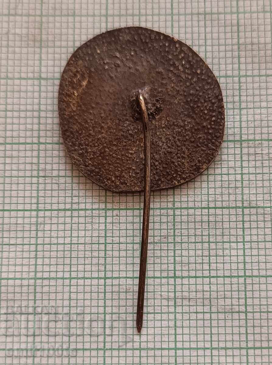 Доставка на Значка- Аладжа манастир Доставка на Значка- Аладжа манастир