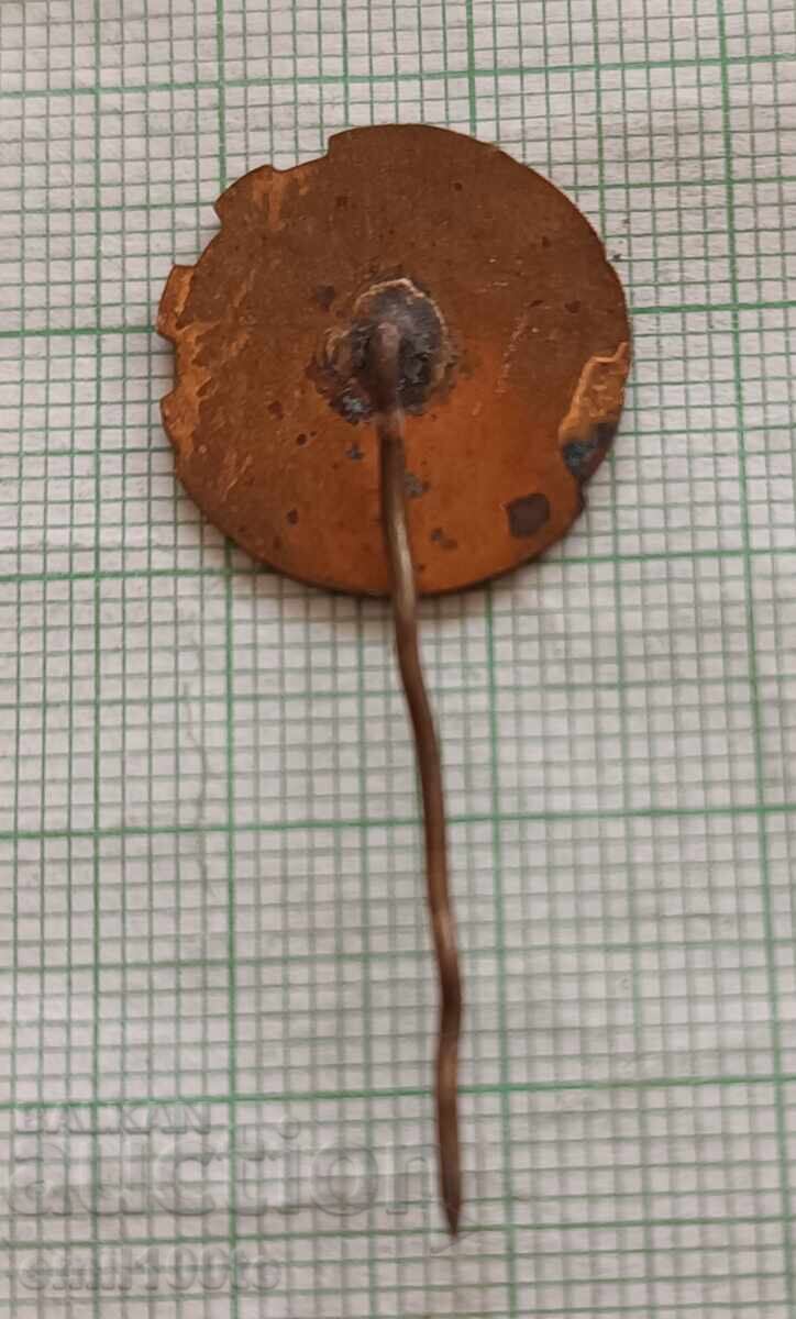 Badge - VMGI Higher Mining - Geological Institute - 5 Badge - VMGI Higher Mining - Geological Institute - 5