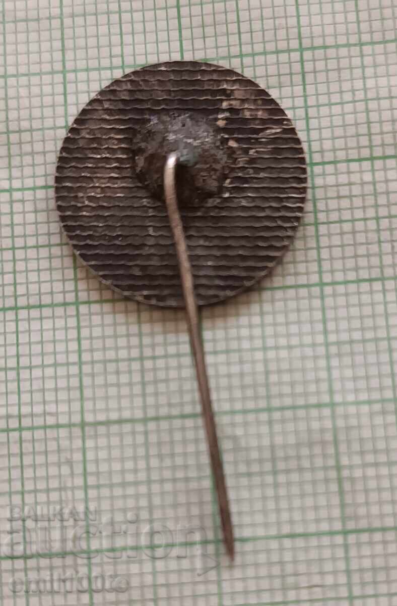 Delivery of Badge - Ethnographic Park - Ettar Museum Delivery of Badge - Ethnographic Park - Ettar Museum