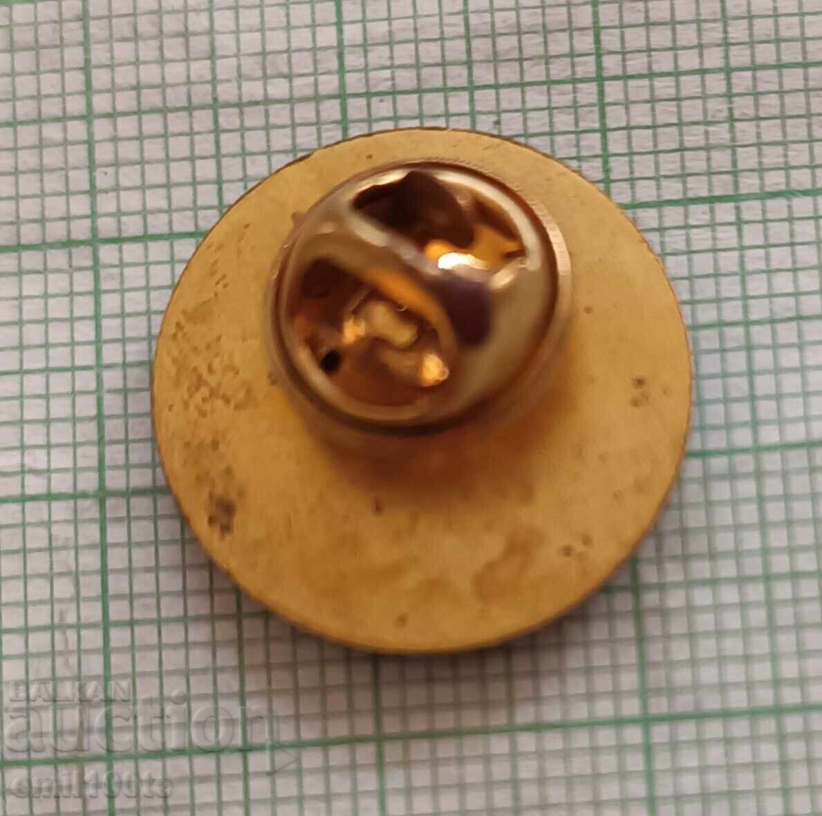 Badge - NATO Crisis Management and Disaster Response - 5 Badge - NATO Crisis Management and Disaster Response - 5