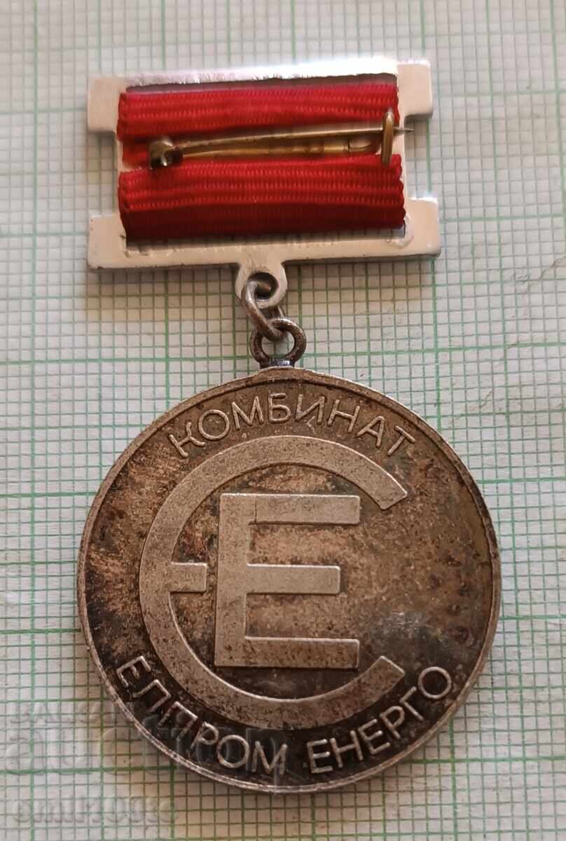 Delivery of Badge - Elprom Energo For many years of dedicated work