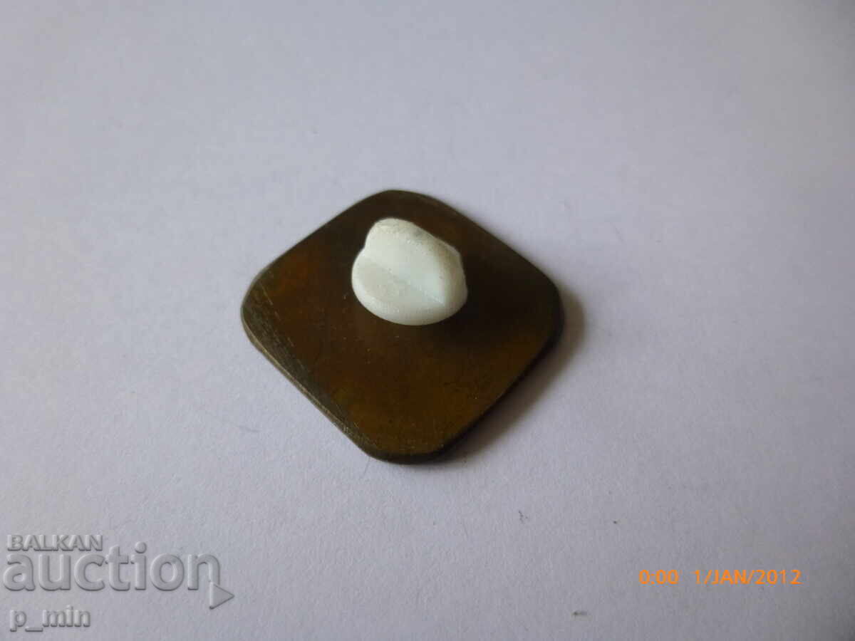 pieptar - SLZB cu preț 6.00 BGN | € 3.07 pieptar - SLZB cu preț 6.00 BGN | € 3.07