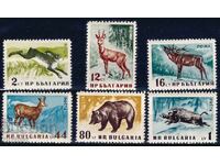 Bulgaria 1958 - animale de pădure MNH