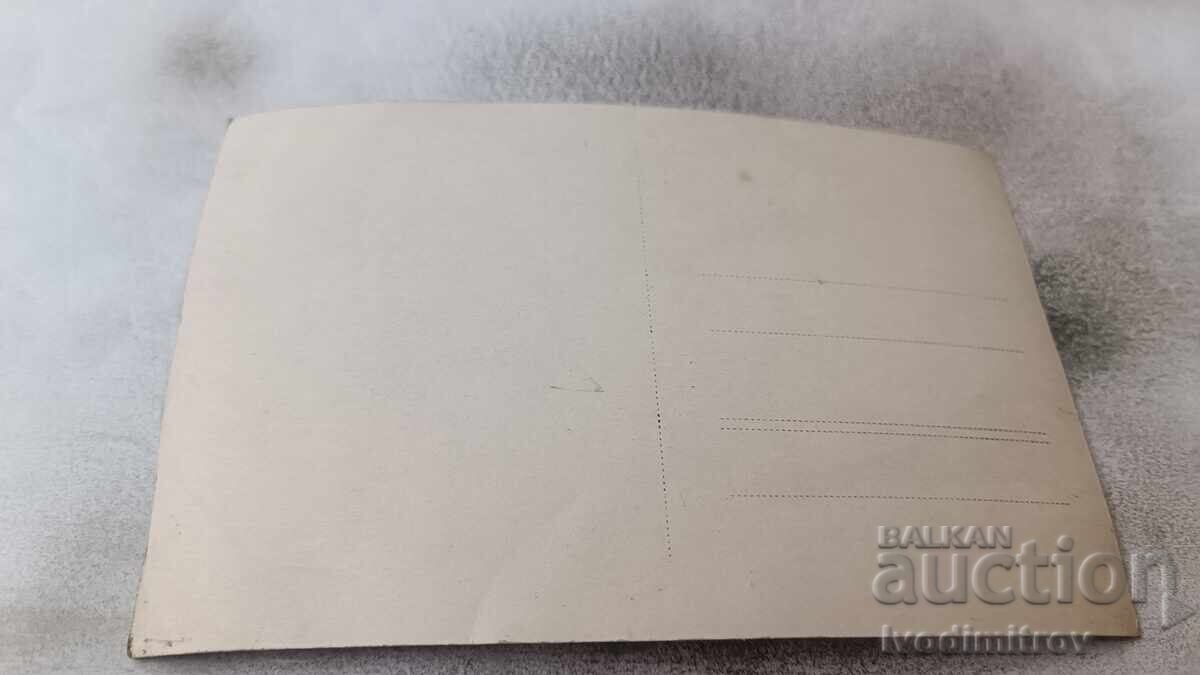 Снимка Пет млади момичета на стълби с цена 1.65 лв. | € 0.84 Снимка Пет млади момичета на стълби с цена 1.65 лв. | € 0.84