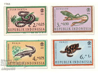 1966. Indonezia. Reptile.