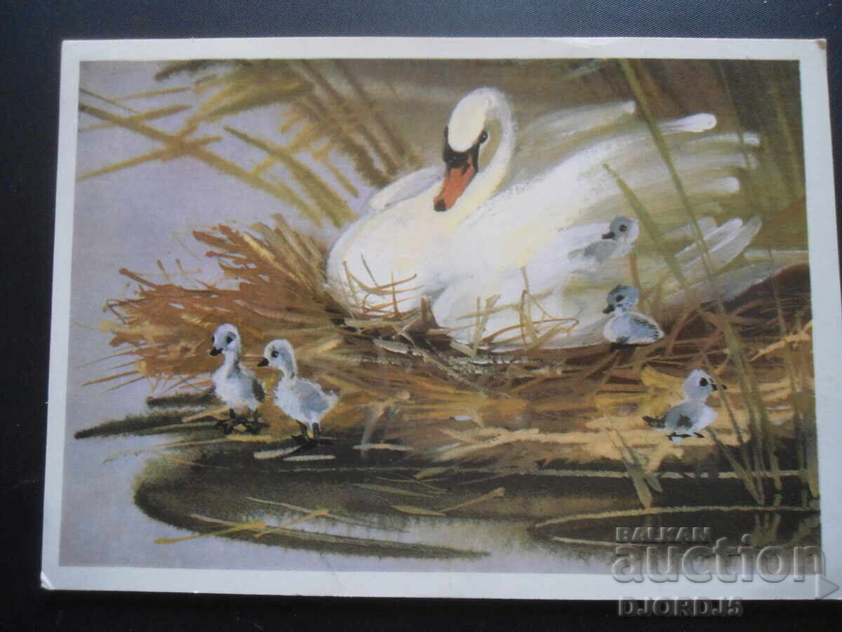 Old Russian card Old Russian card