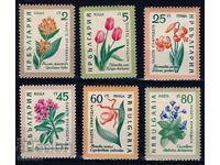 Bulgaria 1960 - flori MNH