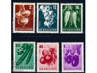 Bulgaria 1958 - vegetables MNH