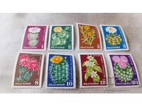 Postage stamps of the Republic of Belarus Cacti