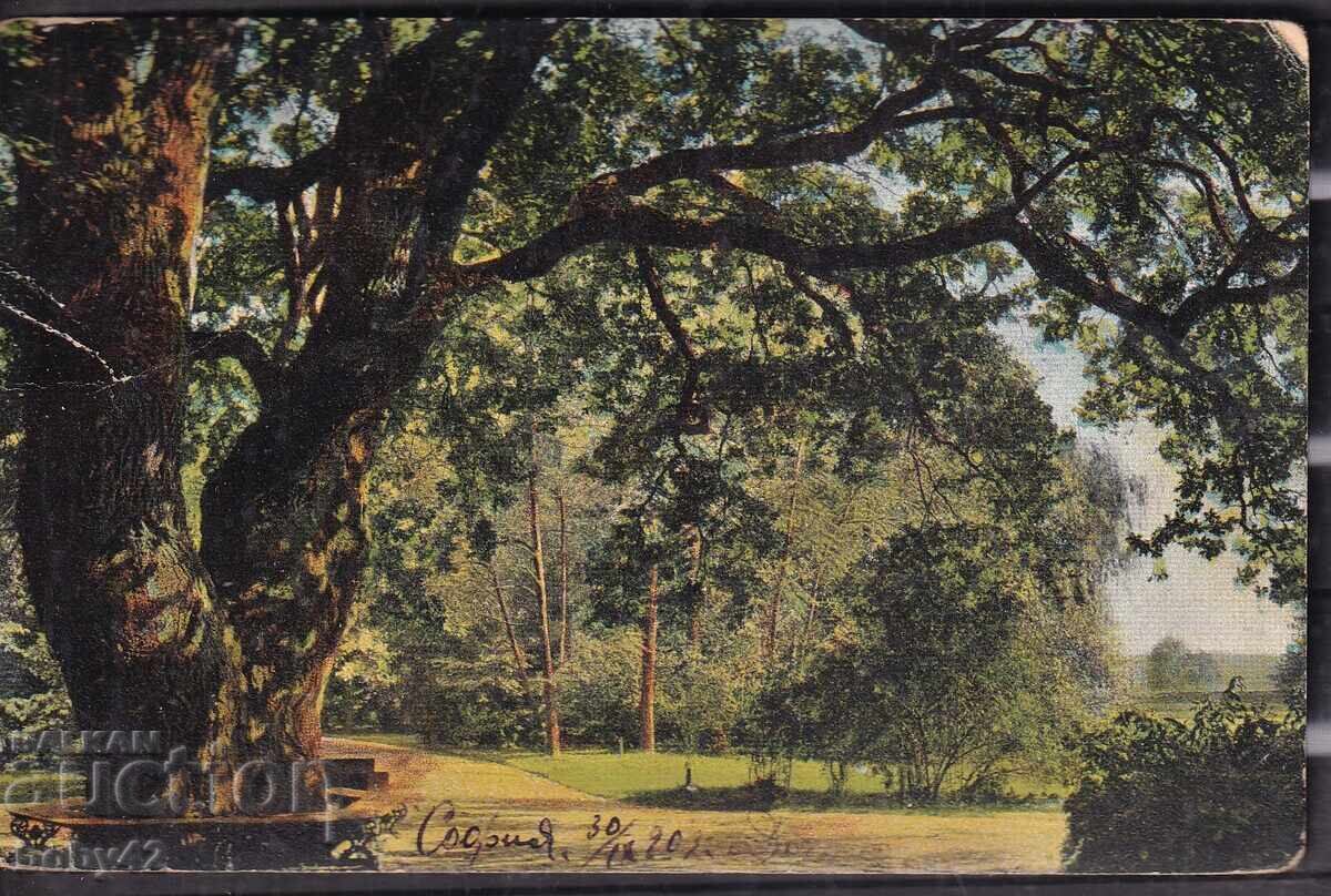 PPM card traveled Sofia-Gabravo 1903