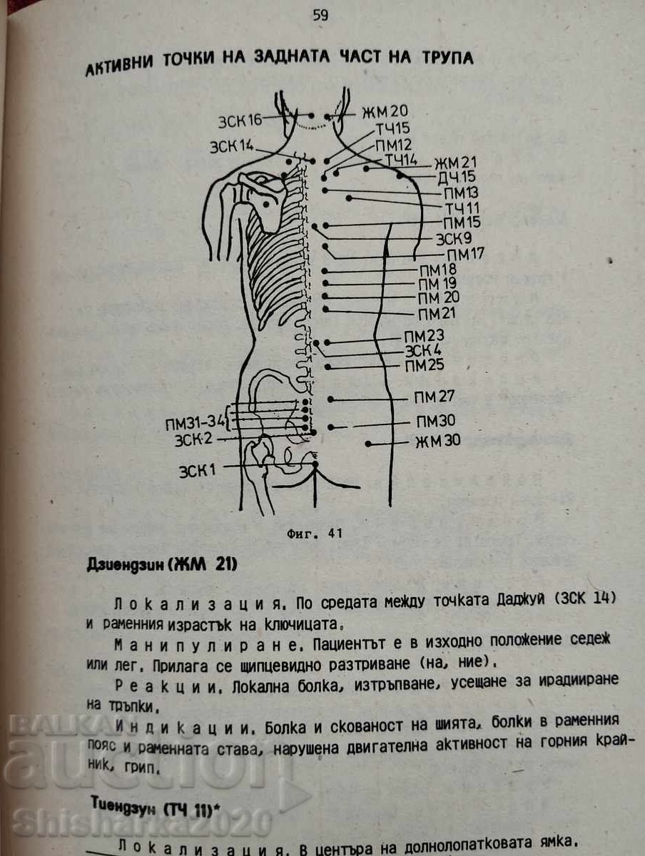 Delivery of Acupressure in sports - Zoya Goranova Delivery of Acupressure in sports - Zoya Goranova
