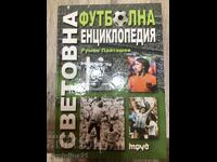 Football World Football Encyclopedia 2010