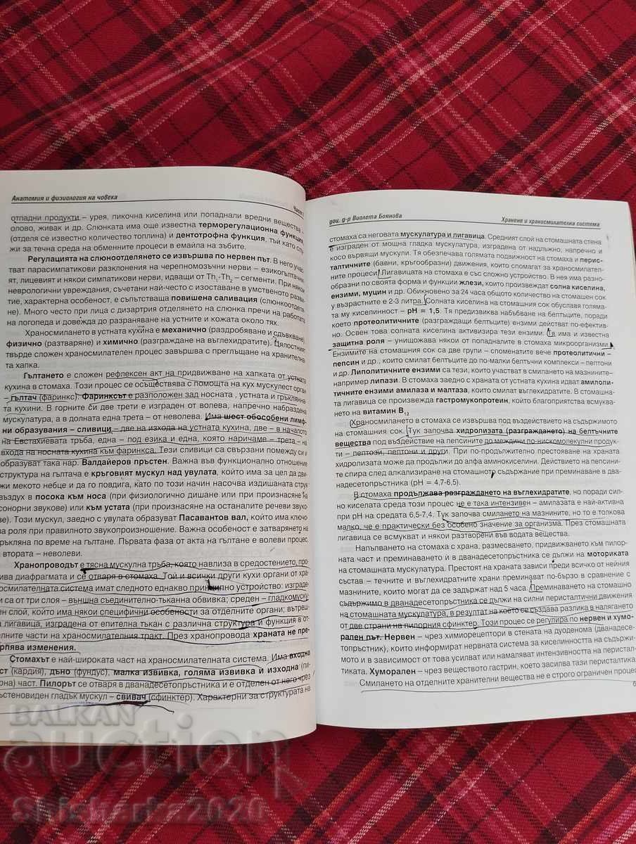 Auction Human anatomy and physiology Auction Human anatomy and physiology