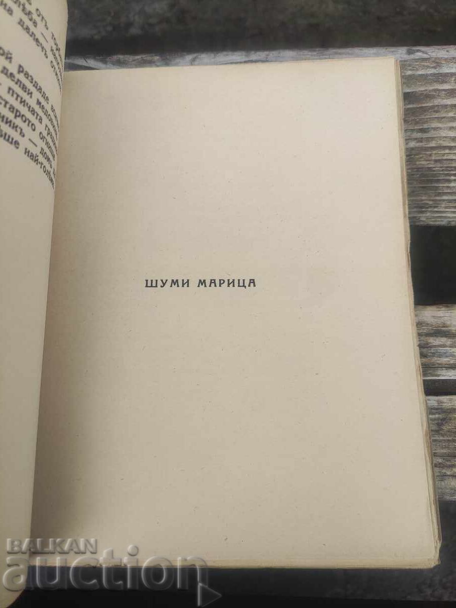 Orphanage Songs. Jordan Stubel with price 70.00 BGN | € 35.79 Orphanage Songs. Jordan Stubel with price 70.00 BGN | € 35.79