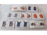 Postage stamps NRB Dogs