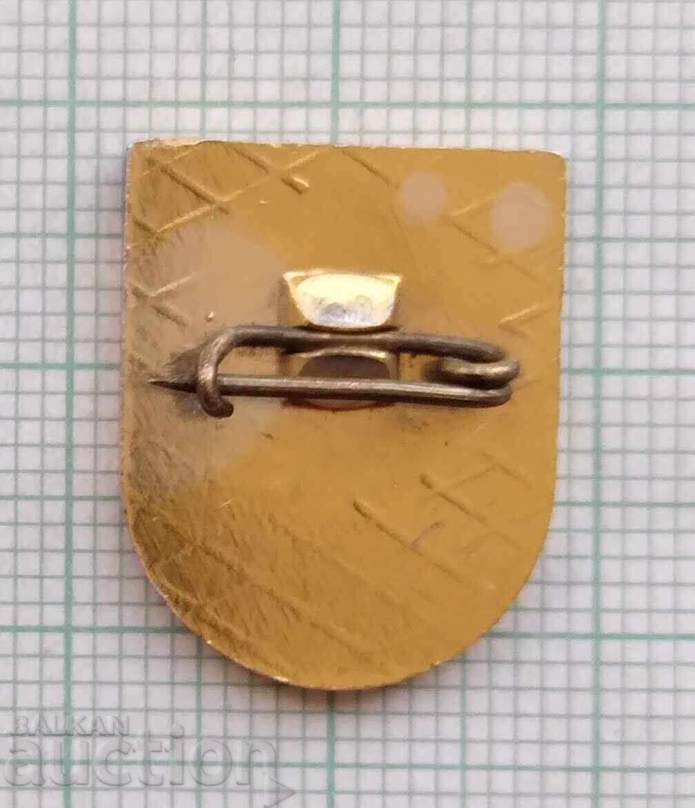 Auction  18251 Badge