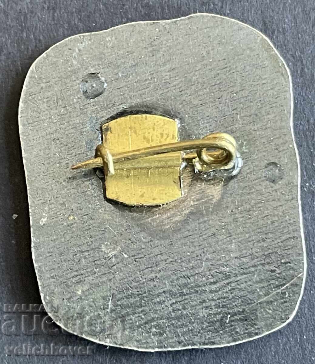 40087 Bulgaria sign Historical Museum Razgrad with price 4.00 BGN | € 2.05 40087 Bulgaria sign Historical Museum Razgrad with price 4.00 BGN | € 2.05