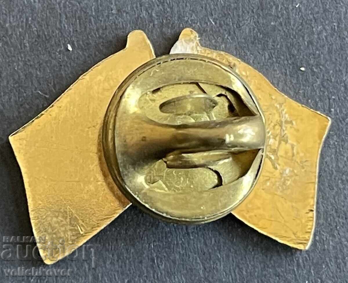 40092 Bulgaria sign USA Bulgarian Friendship Society with price 6.00 BGN | € 3.07 40092 Bulgaria sign USA Bulgarian Friendship Society with price 6.00 BGN | € 3.07