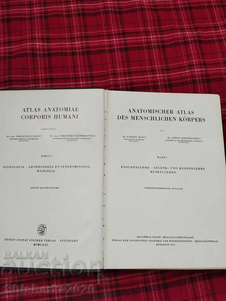 Atlas of Human Anatomy with price 33.00 BGN | € 16.87 Atlas of Human Anatomy with price 33.00 BGN | € 16.87