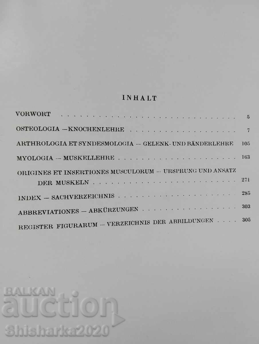 Auction Atlas of Human Anatomy Auction Atlas of Human Anatomy