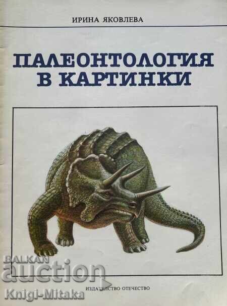 Paleontology in pictures - Irina Yakovleva Paleontology in pictures - Irina Yakovleva
