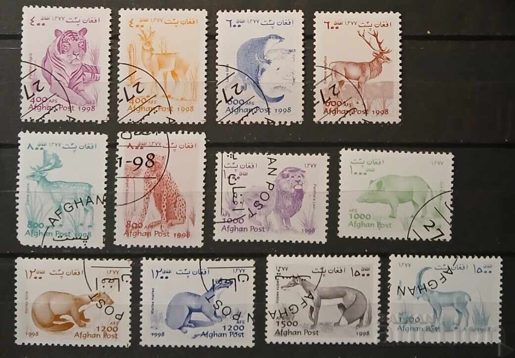 Афганистан Фауна/Котки