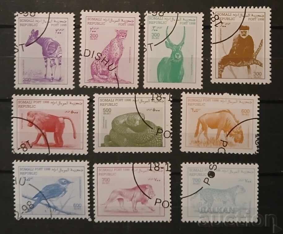 Сомалия Фауна/Котки Сомалия Фауна/Котки