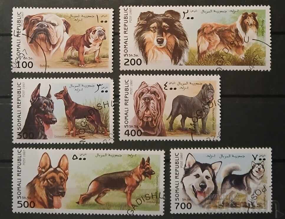 Сомалия Фауна/Кучета Сомалия Фауна/Кучета