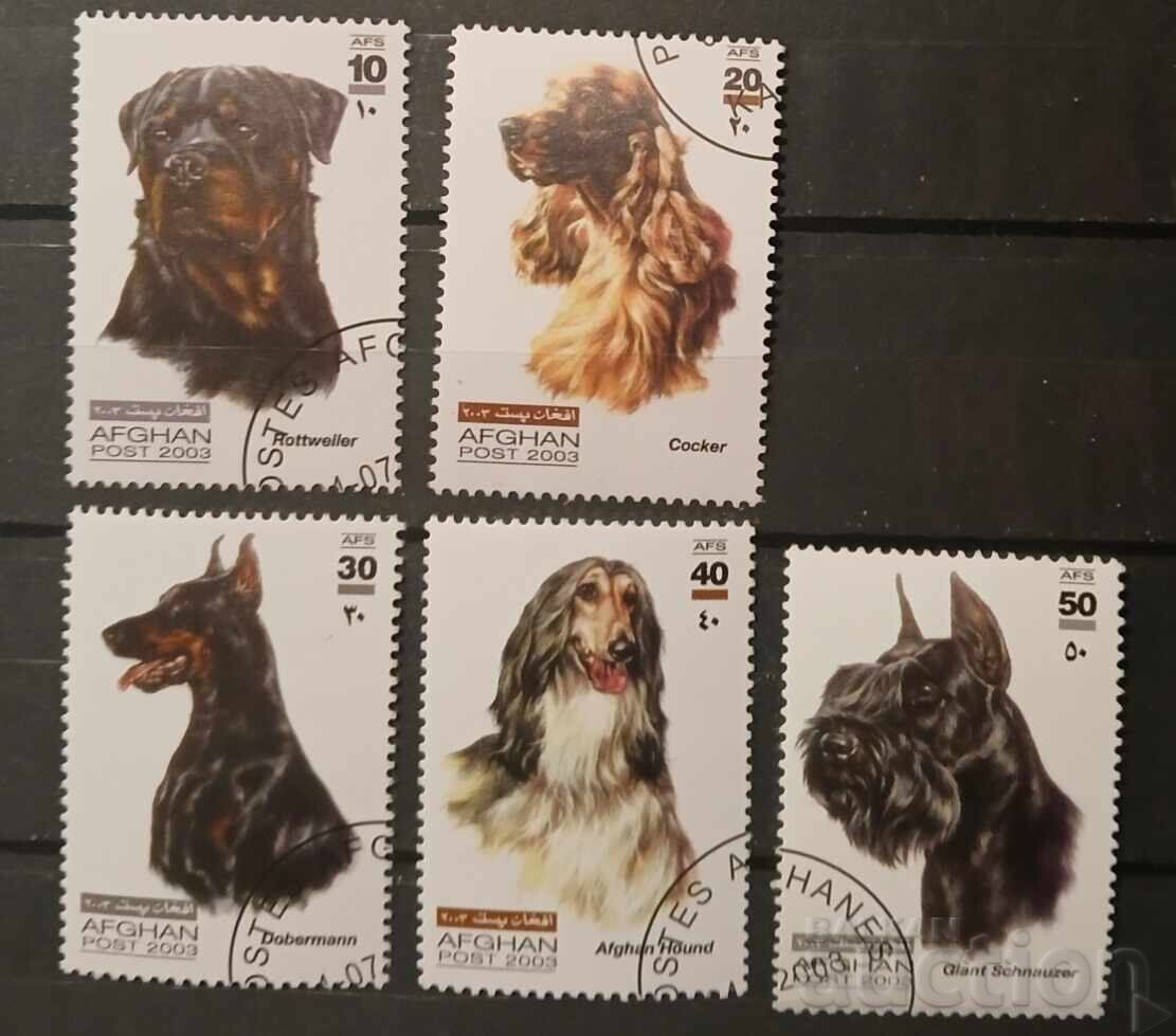 Афганистан Фауна/Кучета