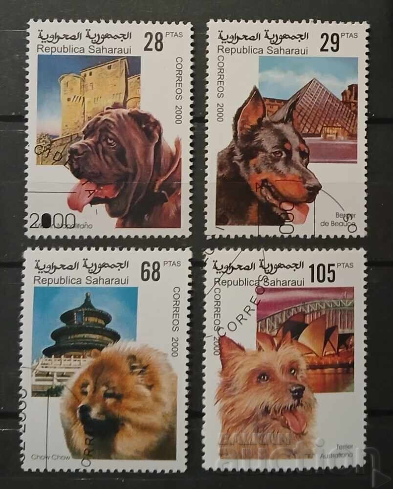 Западна Сахара Фауна/Кучета