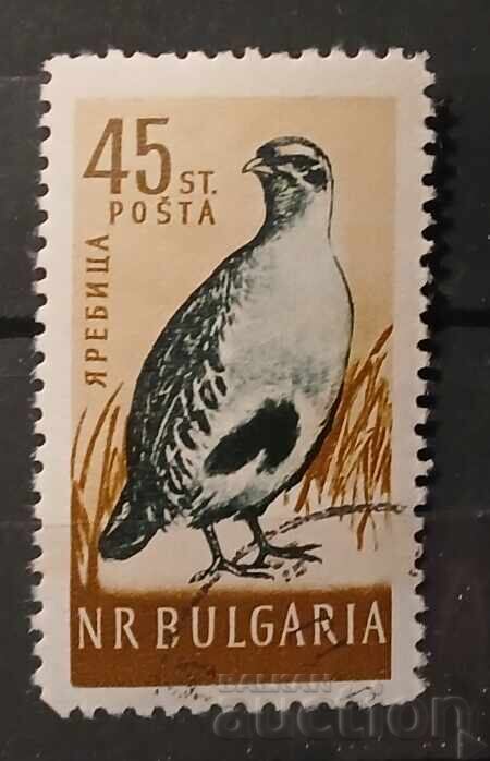 България Фауна/Птици България Фауна/Птици