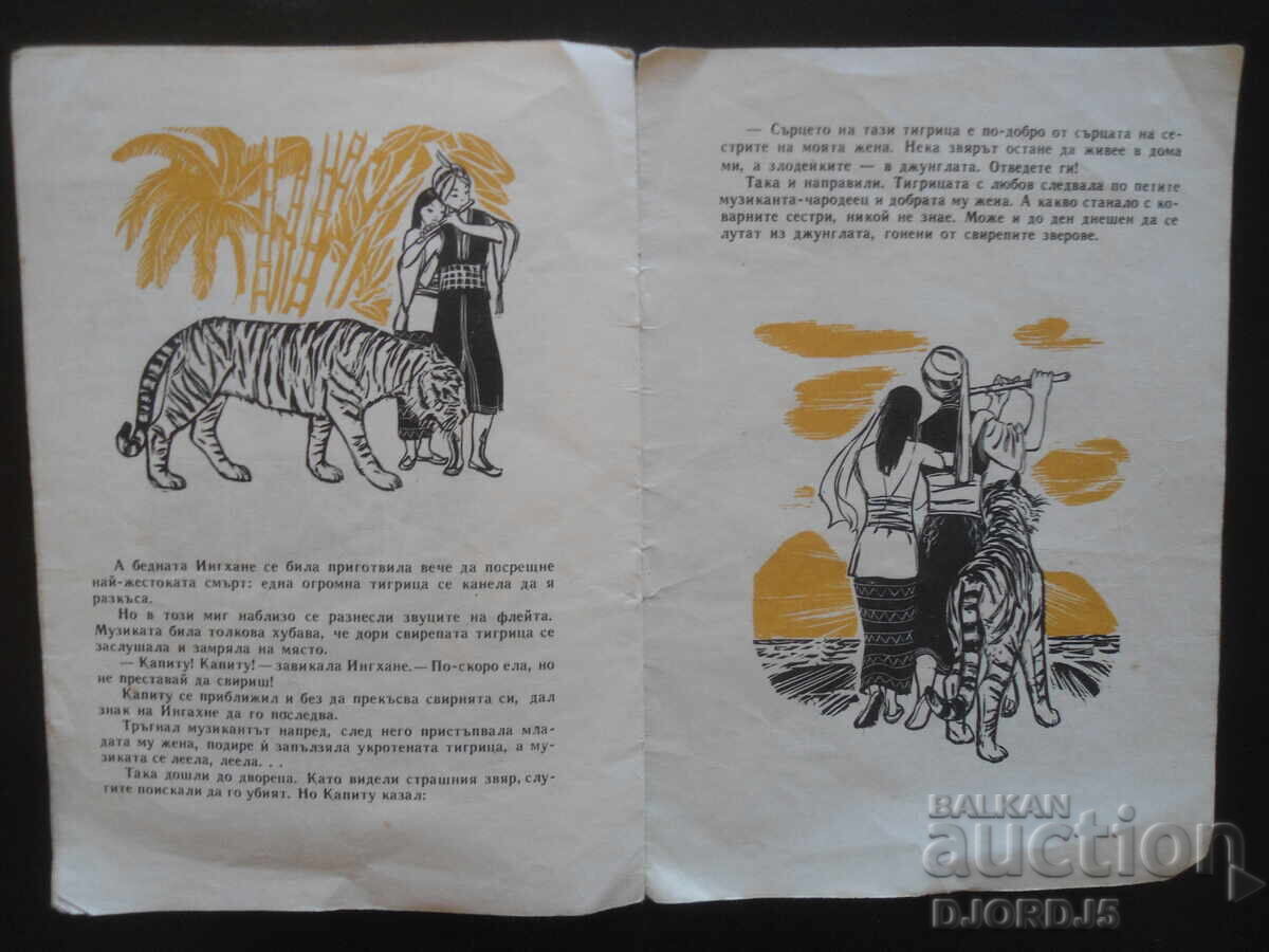 Delivery of Kapitu the musician, Nadya Trendafilova